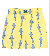 Load image into Gallery viewer, BOYS SWIM TRUNKS
